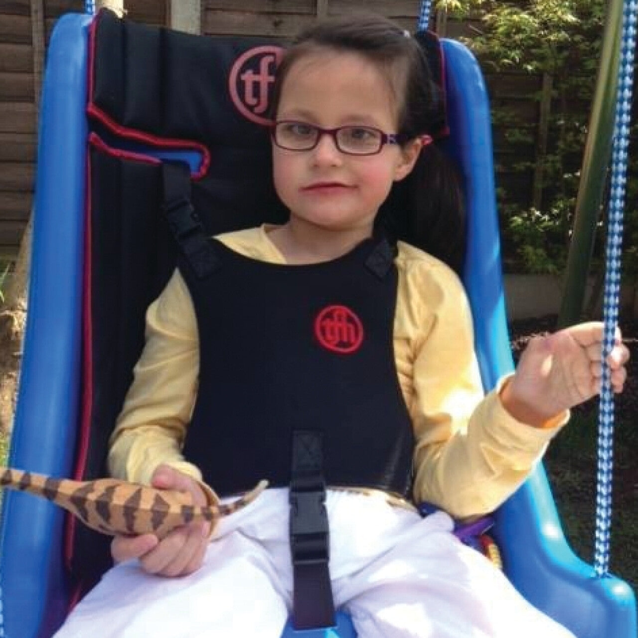 Swing Seat Harness