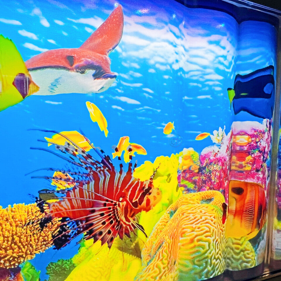 Aquari-round Rotating Toy