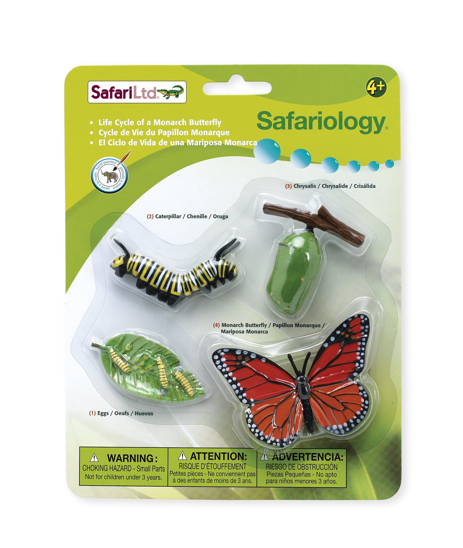 Safari Life Cycle of a Monarch Butterfly - Educational Resource