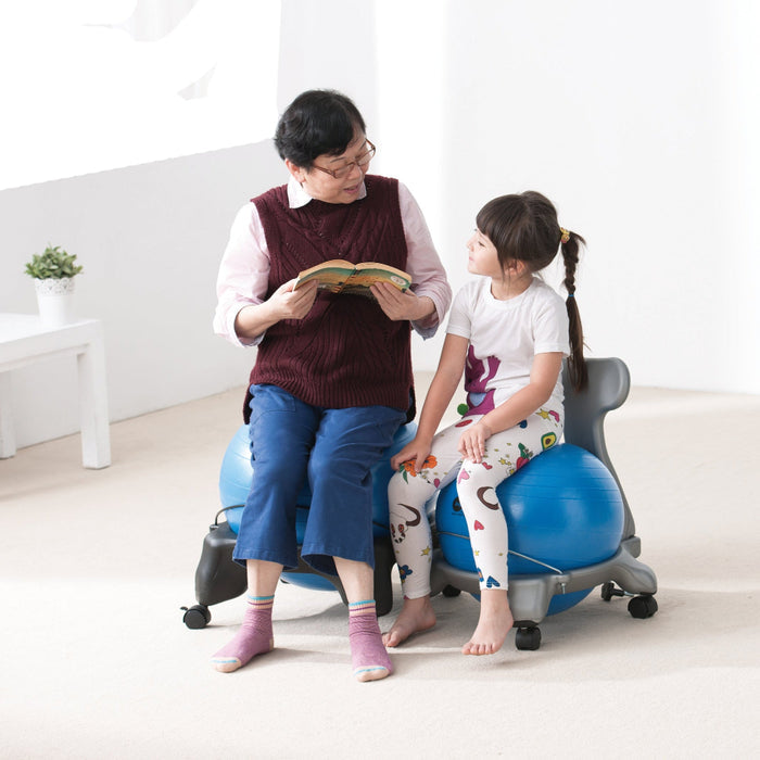 Gym Ball Chair - Small or Large - Chair