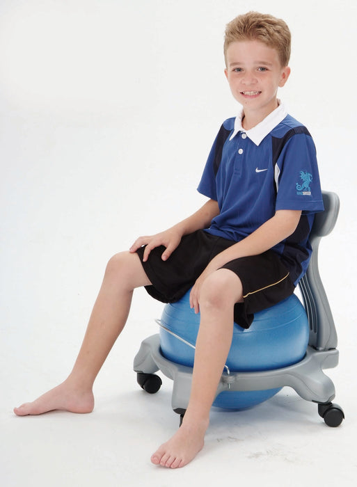 Gym Ball Chair - Small or Large - Chair