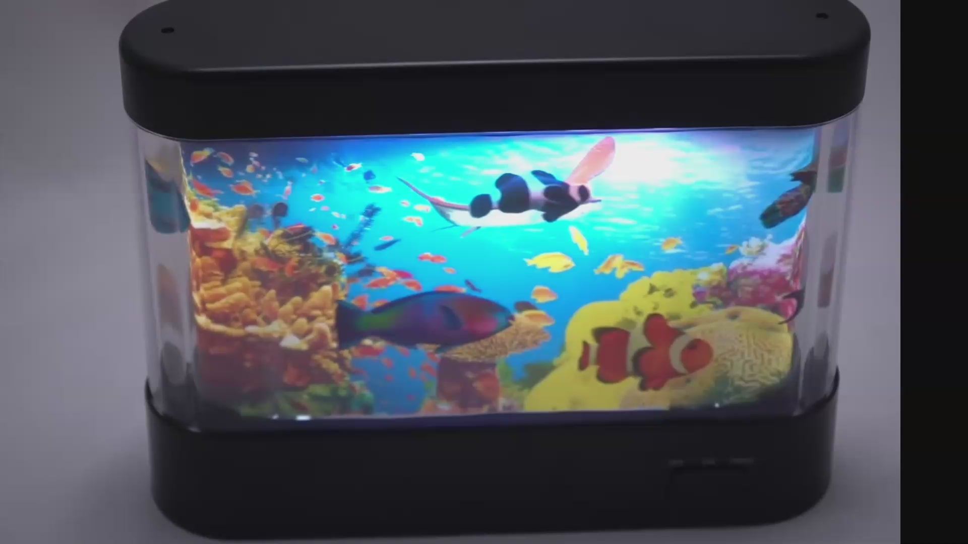 Aquari-round Rotating Toy